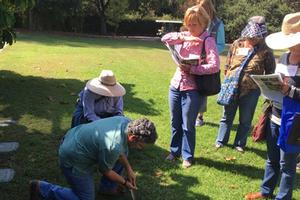 UC Master Gardener participants learn to identify weeds with IPM Advisor Cheryl Wilen. Photo by: L. Snowden